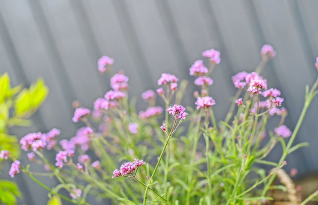 Haus mit 3 Schlafzimmern in Ebeltoft mit privater pool und terrasse - Foto 12