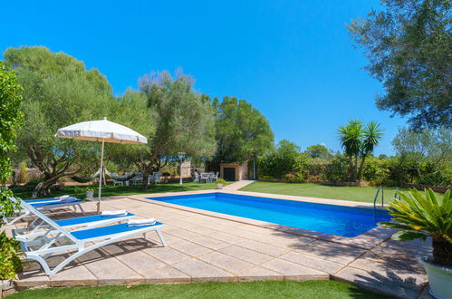 Photo 19 - 2 bedroom House in Santa Margalida with private pool and garden