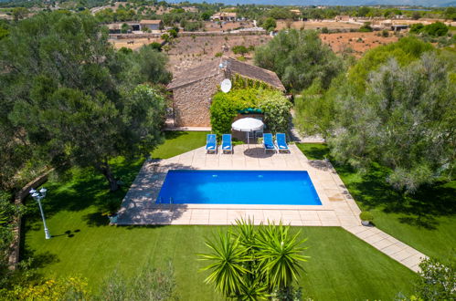 Foto 30 - Casa de 2 habitaciones en Santa Margalida con piscina privada y jardín