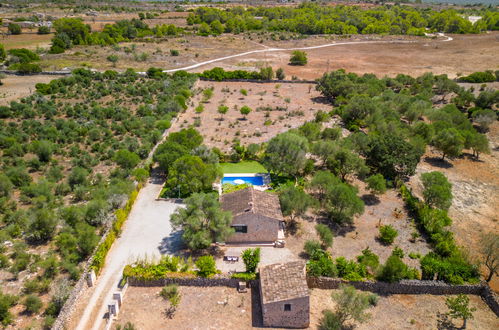 Foto 32 - Casa con 2 camere da letto a Santa Margalida con piscina privata e vista mare