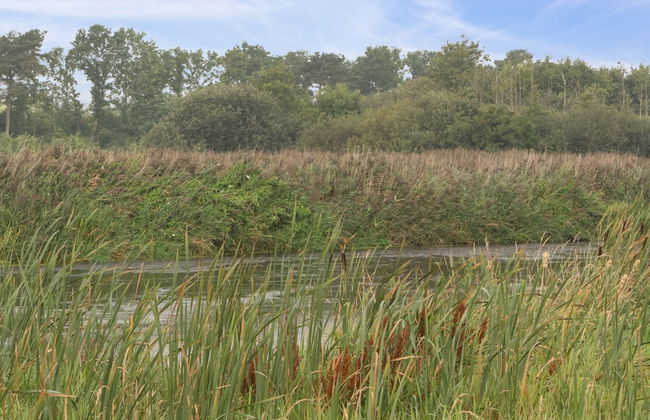 Casa de 3 quartos em Fårvang com terraço - Foto 25