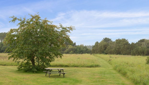 Casa de 3 quartos em Fårvang com terraço - Foto 3