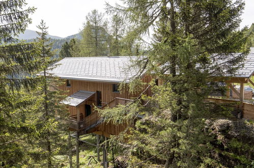 Photo 1 - Maison de 6 chambres à Stadl-Predlitz avec sauna et vues sur la montagne