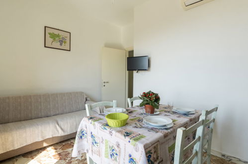 Photo 6 - 1 bedroom Apartment in Terzorio with garden