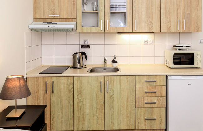 Apartamento de 1 quarto em Arnoltice com jardim e terraço - Foto 4
