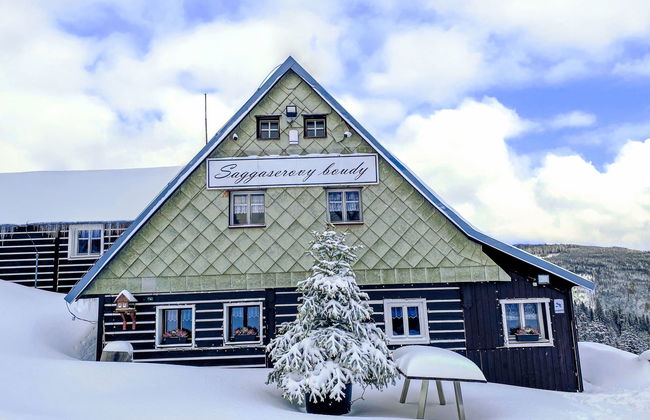 Haus mit 8 Schlafzimmern in Pec pod Sněžkou mit terrasse - Foto 44