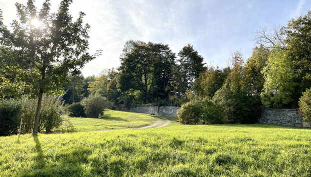 Appartamento con 1 camera da letto a Großschönau con giardino - Foto 5