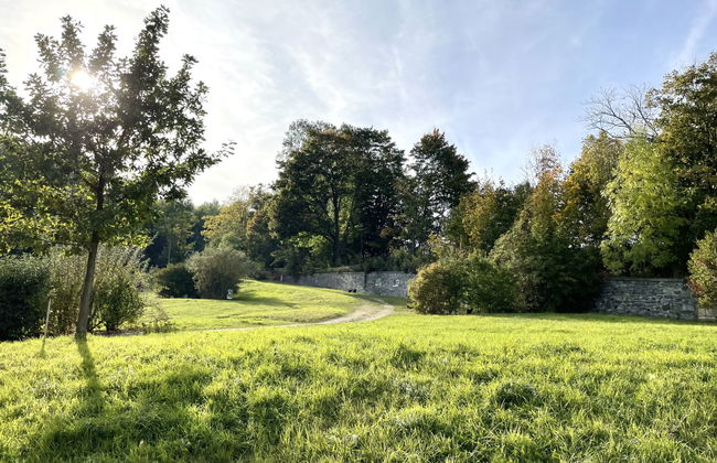 Apartamento de 1 quarto em Großschönau com jardim - Foto 5