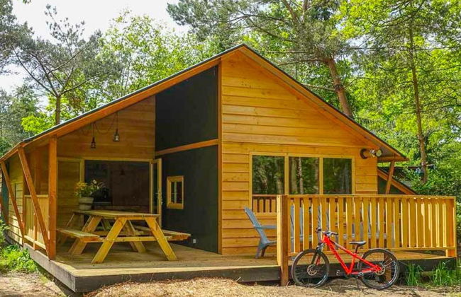 Casa de 5 quartos em Ruinen com piscina e terraço - Foto 1