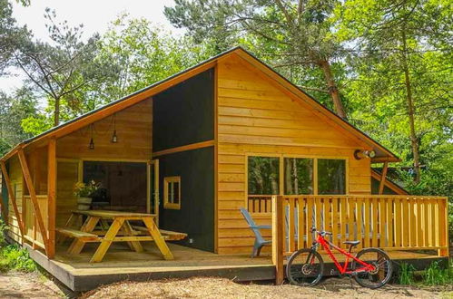 Foto 1 - Casa de 4 quartos em Ruinen com piscina e terraço