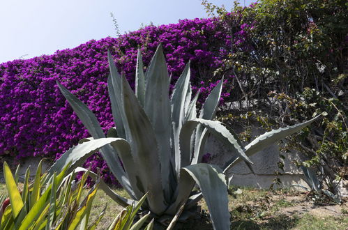 Foto 11 - Appartamento con 1 camera da letto a Ospedaletti con piscina e giardino