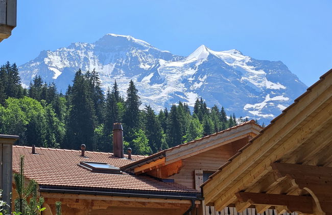 Appartamento con 2 camere da letto a Lauterbrunnen - Foto 22