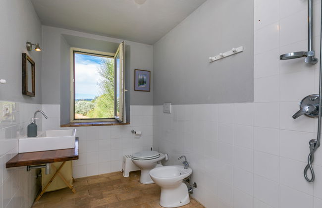 Casa de 1 quarto em Magliano in Toscana com jardim e terraço - Foto 34