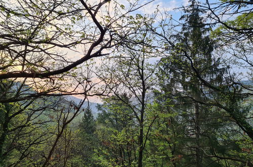 Foto 40 - Casa con 6 camere da letto a Tresa con vista sulle montagne