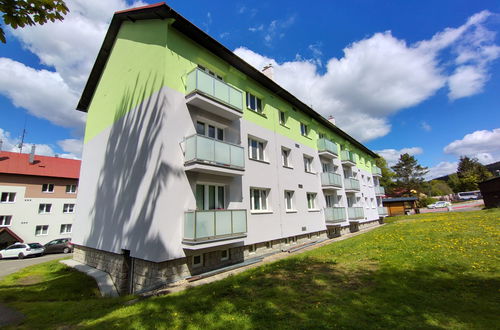Foto 19 - Appartamento con 2 camere da letto a Harrachov con giardino