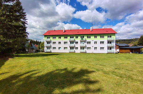 Foto 17 - Appartamento con 2 camere da letto a Harrachov con giardino