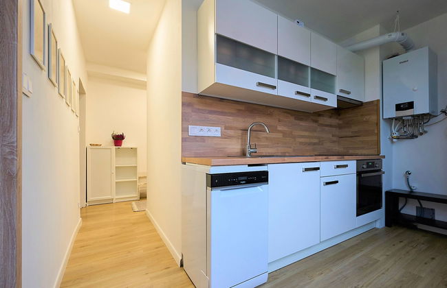 Apartamento de 2 quartos em Harrachov com jardim - Foto 13