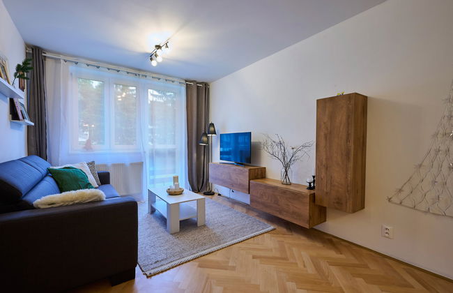 Apartamento de 2 quartos em Harrachov com jardim - Foto 6