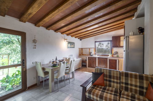 Photo 11 - 2 bedroom House in Castellina in Chianti with private pool and garden