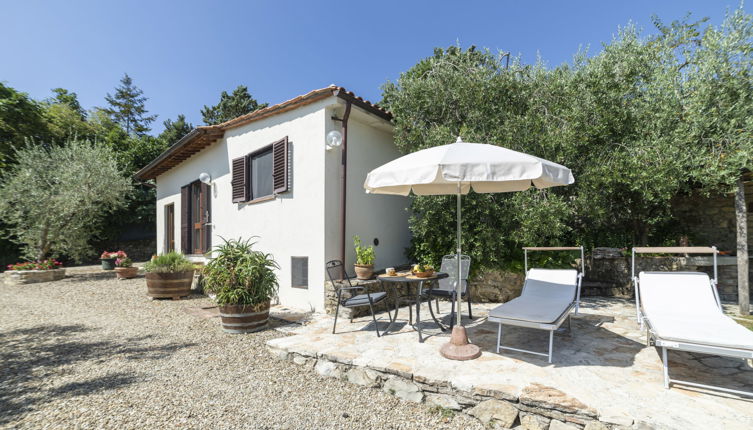 Foto 1 - Casa de 2 habitaciones en Castellina in Chianti con piscina privada y jardín