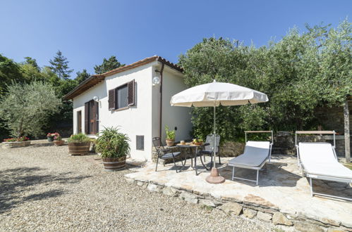 Foto 1 - Casa de 2 habitaciones en Castellina in Chianti con piscina privada y jardín