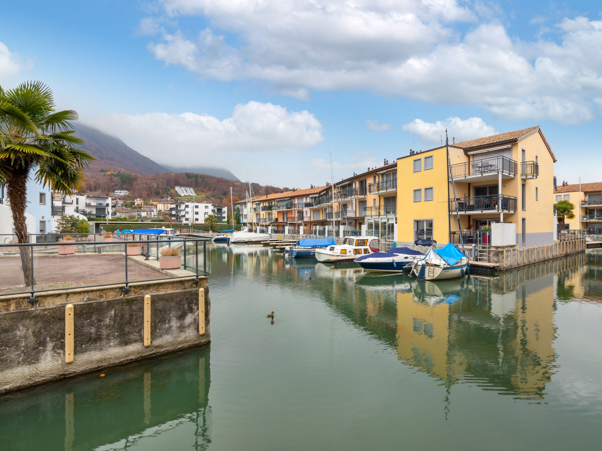 Foto 17 - Apartamento de 2 quartos em Port-Valais com terraço e vista para a montanha