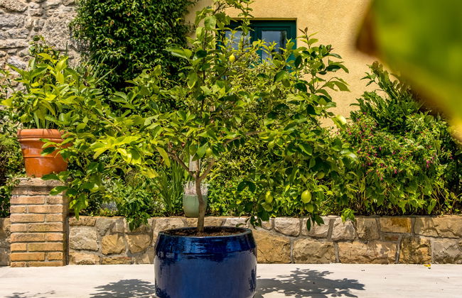 Haus mit 3 Schlafzimmern in Kastav mit privater pool und garten - Foto 33