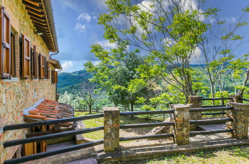 Foto 43 - Casa con 3 camere da letto a Montevarchi con piscina privata e giardino