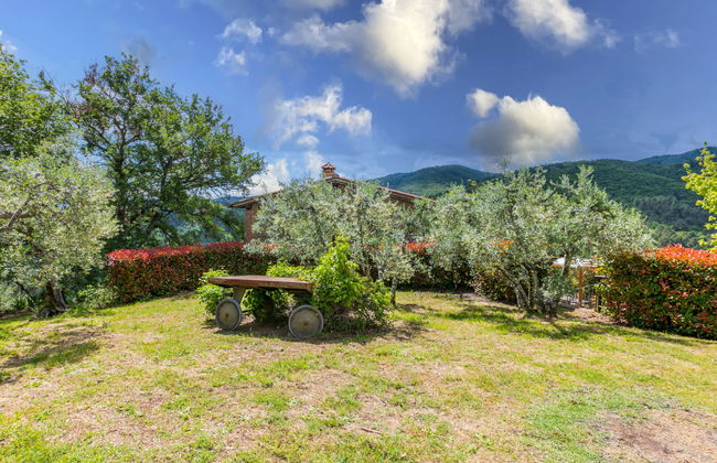 Haus mit 4 Schlafzimmern in Montevarchi mit privater pool und garten - Foto 51