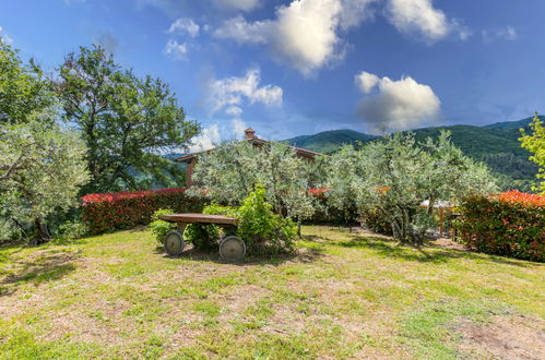 Foto 51 - Casa con 3 camere da letto a Montevarchi con piscina privata e giardino