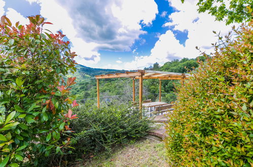 Foto 57 - Casa con 3 camere da letto a Montevarchi con piscina privata e giardino