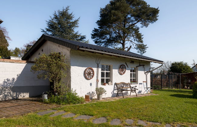Casa de 5 quartos em Manderscheid com jardim e terraço - Foto 47