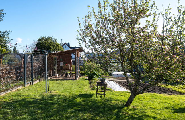 Casa de 5 quartos em Manderscheid com jardim e terraço - Foto 49