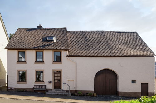 Photo 45 - Maison de 3 chambres à Manderscheid avec jardin et terrasse