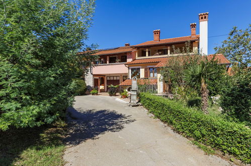 Foto 3 - Casa con 5 camere da letto a Žminj con piscina privata e giardino