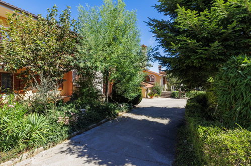 Photo 60 - Maison de 5 chambres à Žminj avec piscine privée et jardin