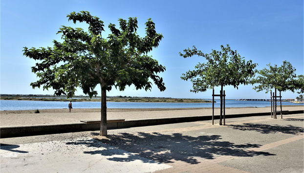 Apartment mit 3 Schlafzimmern in Gruissan - Foto 5