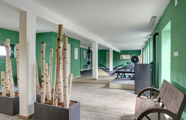 Haus mit 11 Schlafzimmern in Hehlen mit garten und terrasse - Foto 66