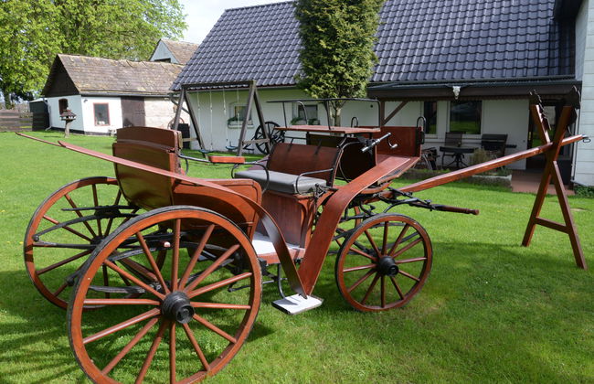 Haus mit 11 Schlafzimmern in Hehlen mit garten und terrasse - Foto 72