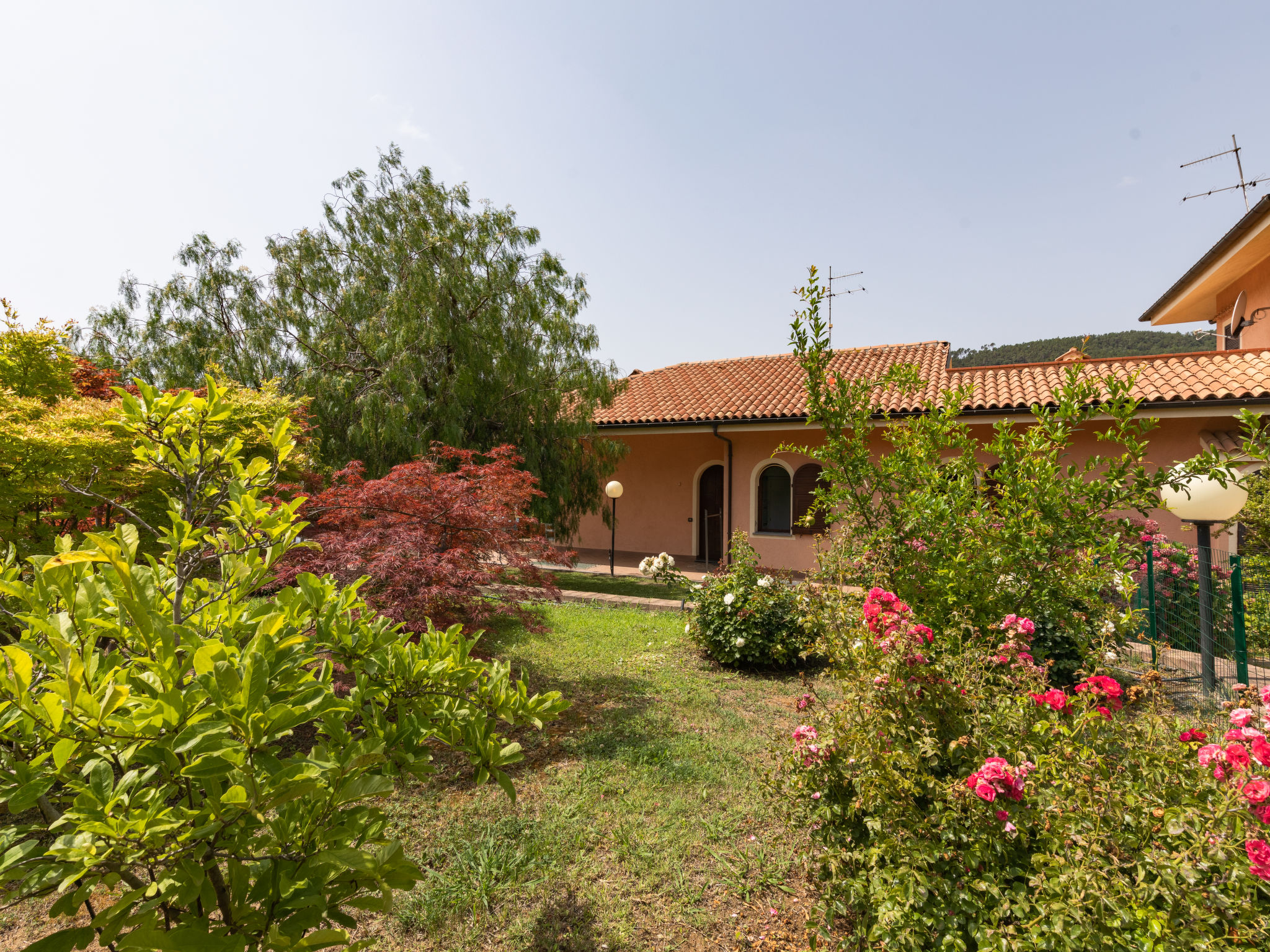 Photo 26 - Maison de 3 chambres à Cisano sul Neva avec jardin et terrasse