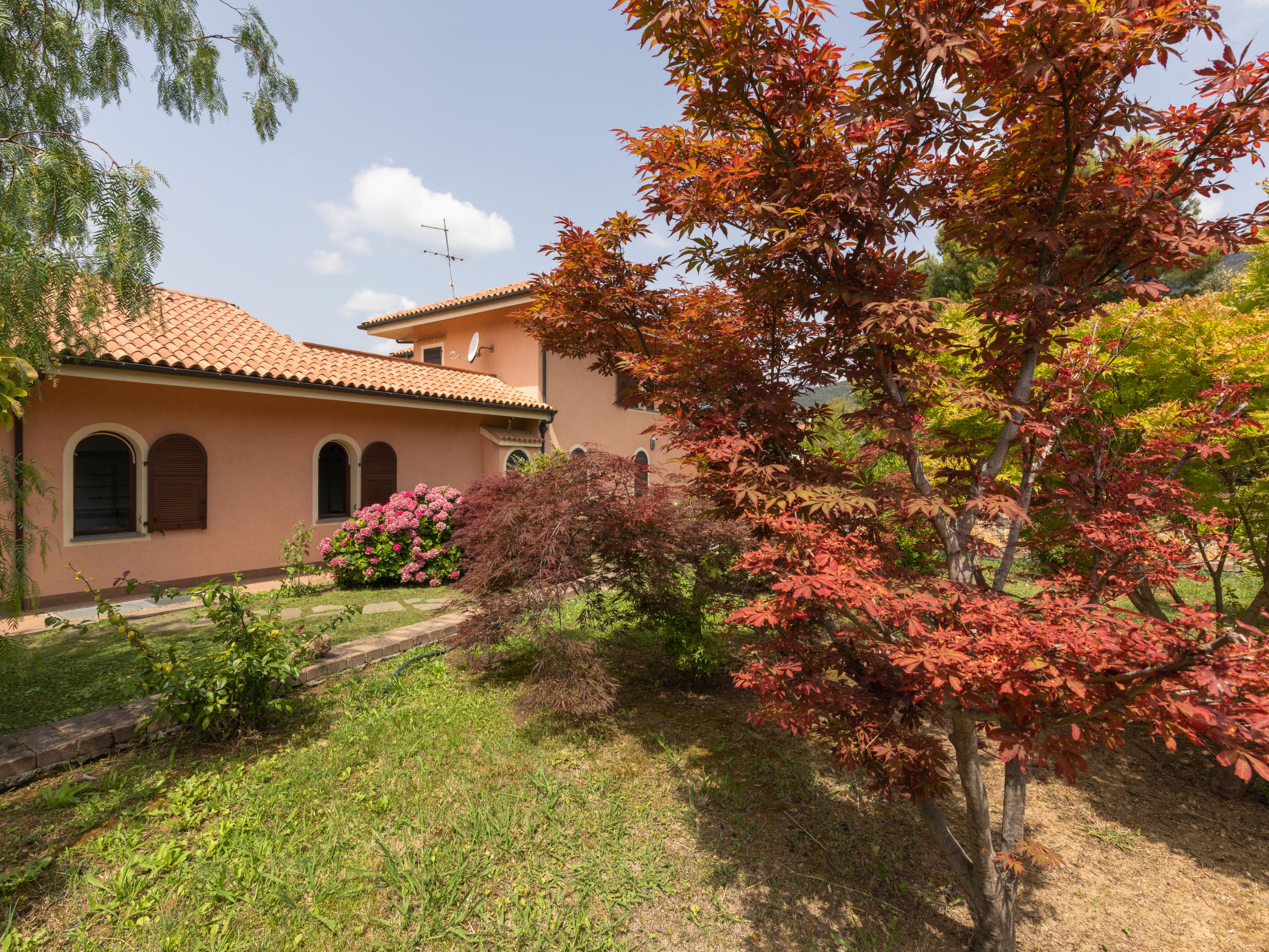 Photo 20 - Maison de 3 chambres à Cisano sul Neva avec jardin et terrasse