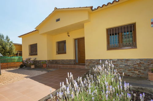 Photo 31 - Maison de 3 chambres à Maçanet de la Selva avec piscine privée et vues à la mer