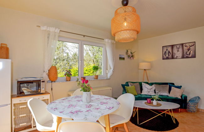 3 bedroom House in Suhl with garden and terrace - Photo 11