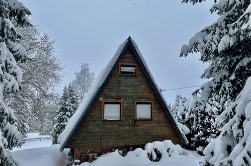 Photo 14 - Maison de 1 chambre à Suhl avec jardin et terrasse