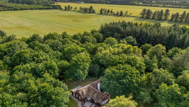 Haus mit 3 Schlafzimmern in Tim mit terrasse - Foto 2