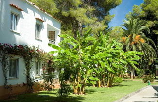 Photo 3 - Club Cala Pada