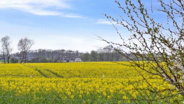 Casa de 4 quartos em Odder com terraço e sauna - Foto 3