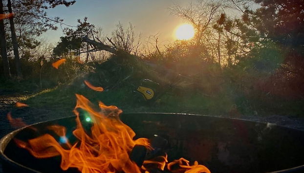 Maison de 1 chambre à Sjællands Odde avec terrasse et sauna - Photo 5