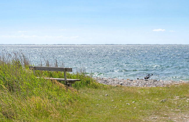Maison de 1 chambre à Sjællands Odde avec terrasse et sauna - Photo 11