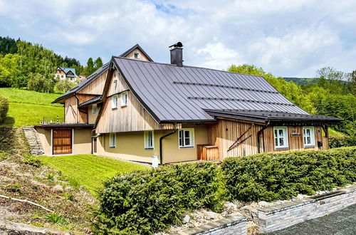 Foto 4 - Apartamento de 2 quartos em Rokytnice nad Jizerou com jardim e sauna
